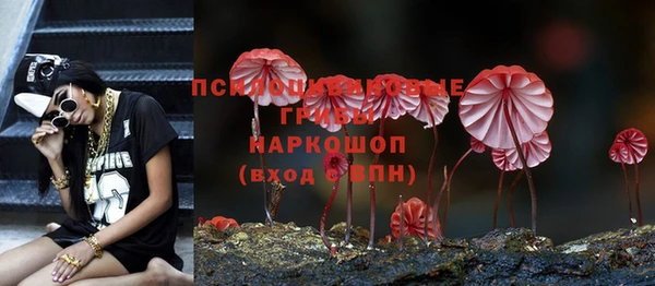 гашик Пролетарск