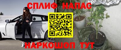 герыч Камышлов