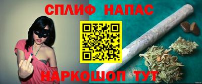 ECSTASY Канаш
