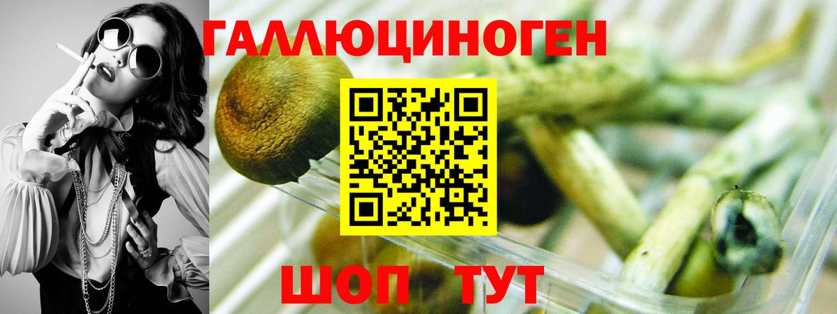 Североморск  Псилоцибиновые грибы ЛСД  Вход с VPN 